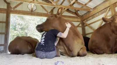 Did you need a hug today?