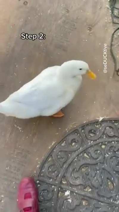 Melhor tutorial que você verá hoje