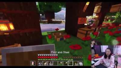 How Lilypichu take care of her bees