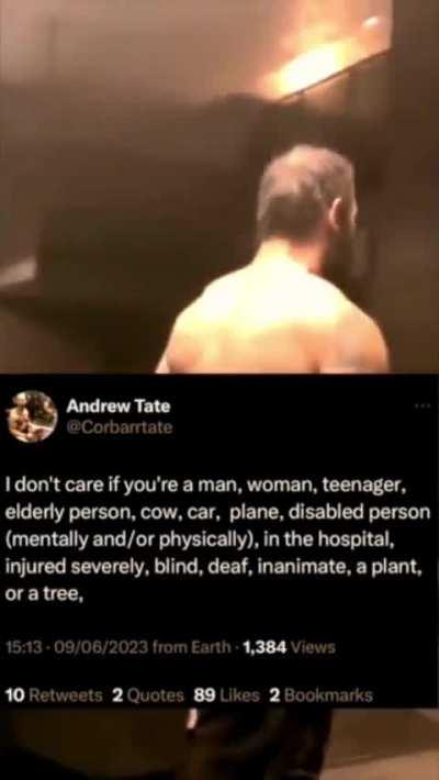 artificially moldy tate