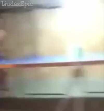 everybody gangsta until the za hando user gets mad