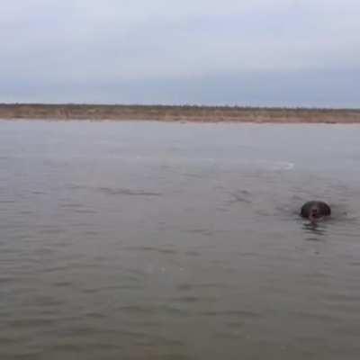 He was asking for help