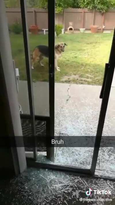 El pana al darse cuenta de que estaba en clase de derechos de las minorías