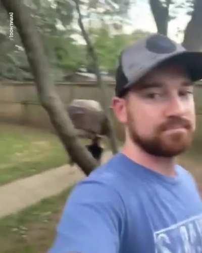 Expecting a call from the neighbors any time now....