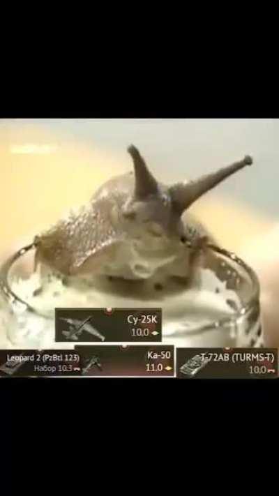 Gaijin in the nutshell