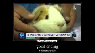 simplemente susi 🤑