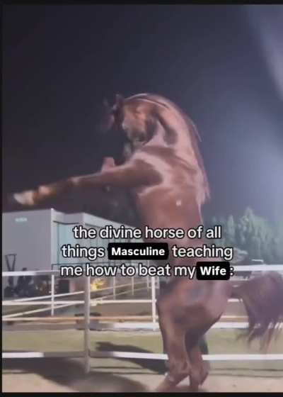White Woman's Horse