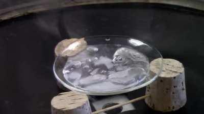 Triple Point of water