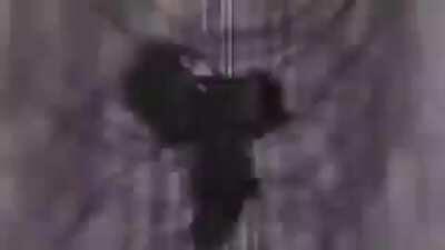 Welp, now for another posting spree now that I haven’t posted in a few months