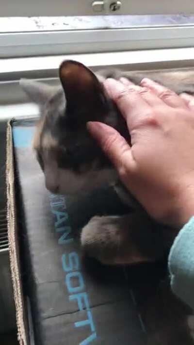 I’m awake, but why?