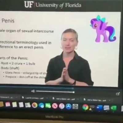 Video of a professor teaching health with a my little pony. I have to know why the my little pony was there.