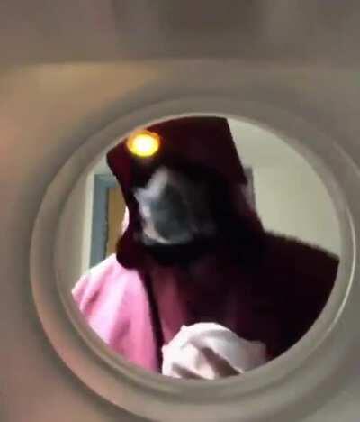 Guys, guys! Look what he found 👀👀👀👀👀👀👀👀👀👀👀👀👀👀👀👀👀👀👀👀👀👀