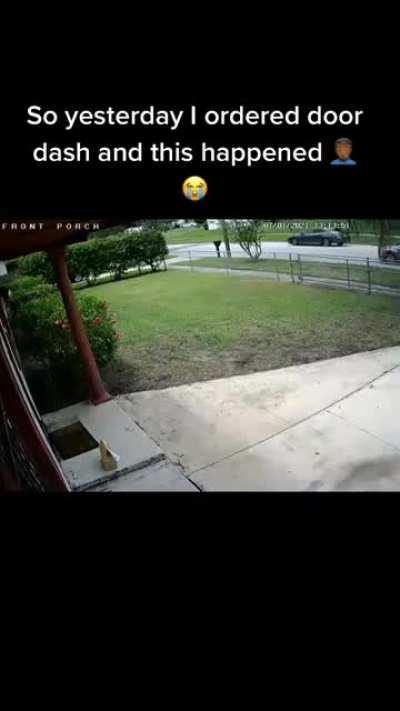 This guy delivered food then immediately came back to steal it
