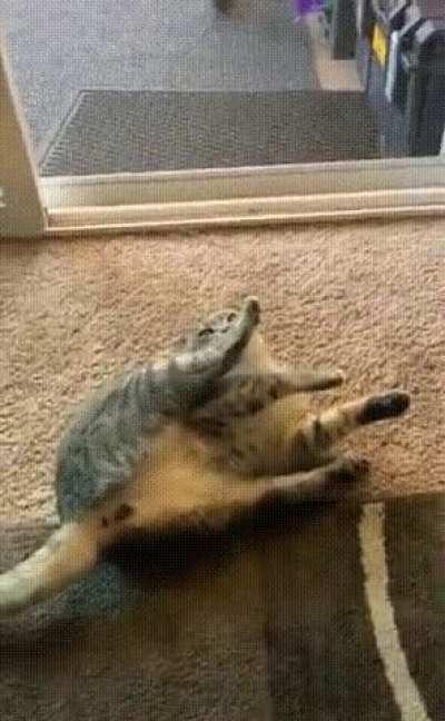 My God, what is this, put it away.