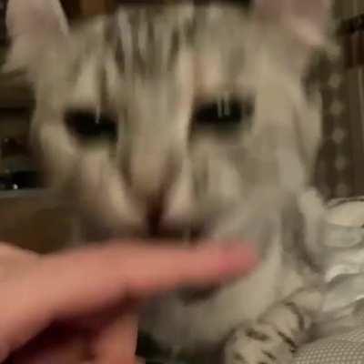 '' Oh I did the catculations correctly.. You lucky I am farsighted.. ''