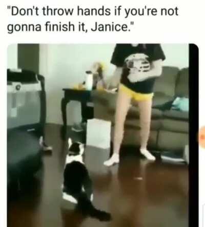 Don't start no ish, won't be no ish!