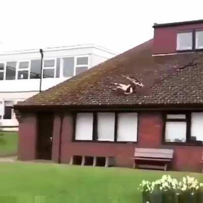 HMFT after I eat roof tiles for breakfast