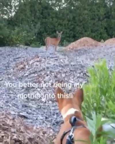 A warming exchange between neighbors