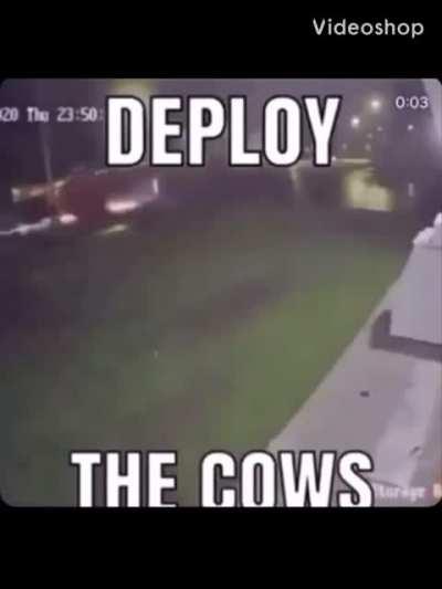 When David (Poopface) take my fruit snack