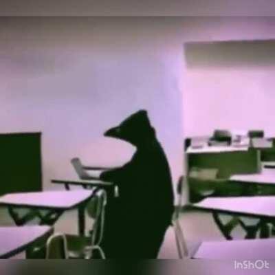 The doc is here to fix him dont worry