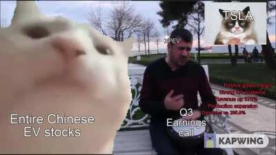 Chinese TSLA saving our portfolio