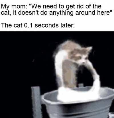 The cat is an unpaid worker