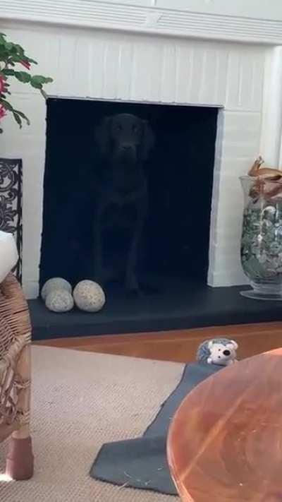 The Prince of Darkness