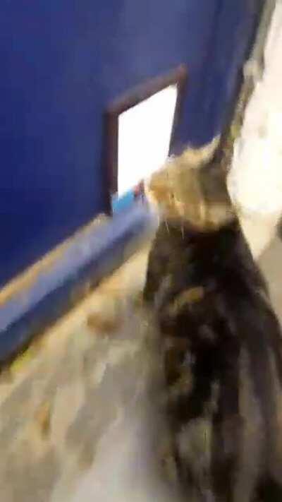 The most dramatic exit you've ever seen