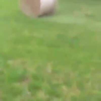 I wonder why women live longer....