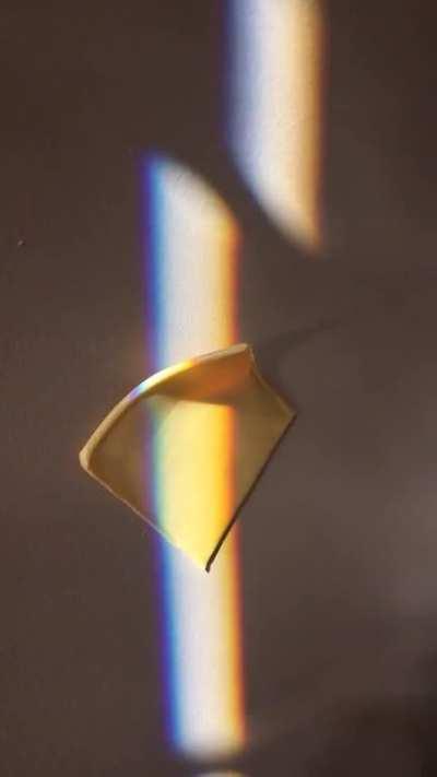 Cheese…just cheese