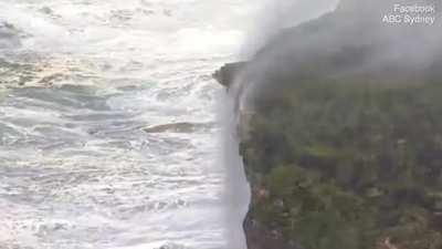 Австралия..ничего удивительного