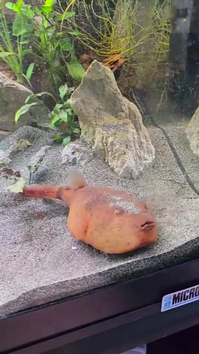 Happy Mothers day. Here is a quick video before I went on vacation.