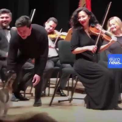 Kitty is a big fan of the Symphony