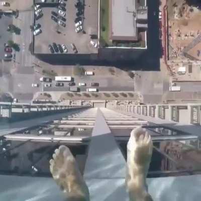A 150-metre-high glass pool on the 42nd floor of a building in Houston, Texas.
