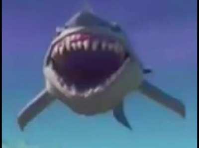 Whatcha think about sharks so far?