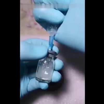 Growing a chicken in an open egg