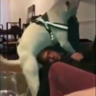 Meu pau no seu ouvido