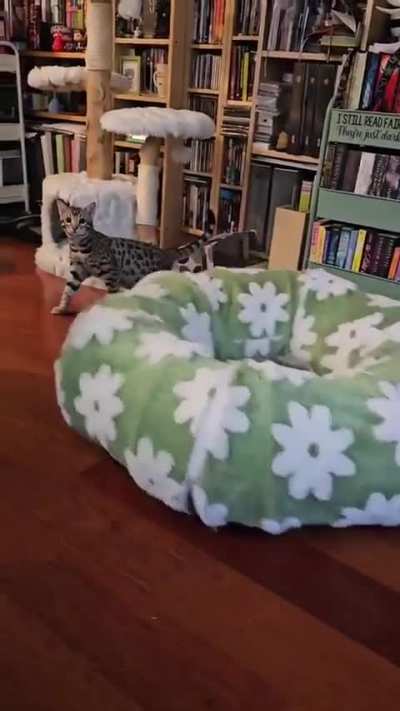 C@ does hidden loops