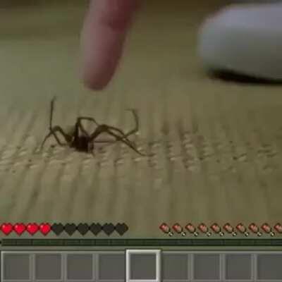 A vida é linda não é ?