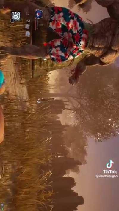 What the hell is this