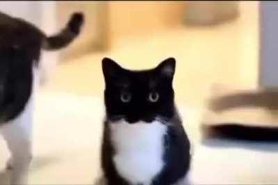 this video does not go hard