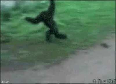 What you gonna' do about it?