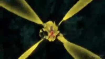 When Chi-Chi says you can train