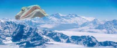 Nobody: … / Beardies when they’re hot: :v