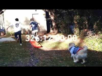 If by any chance Mark and Ethan will see this I just wanted to say thank you, thank you for everything you did, thank you for making us laugh, thank you for making 2020 a better year, thank you for being here for us when we needed it, thank you for being 