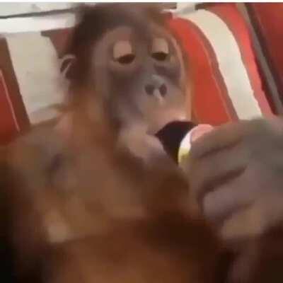 With the boys 😎😎😎🦍🦍🐵🦍🐒🐒🦧