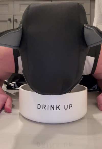 Just a pup living, watch till the end for a surprise