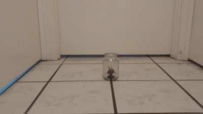 This is a threat. Release the game Team Cherry.