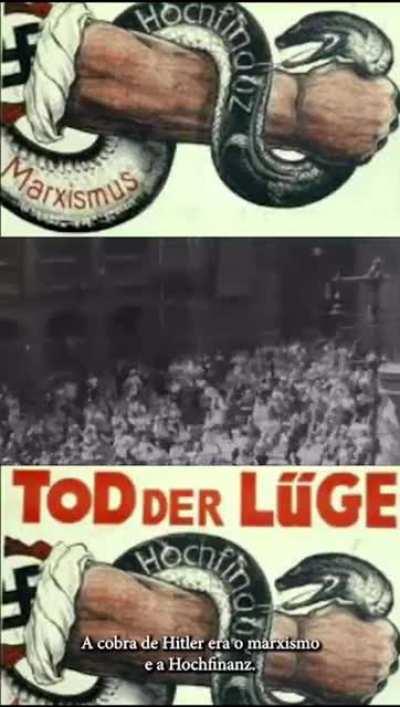 Você apoiaria um sujeito ou um grupo de sujeitos que se parecessem minimamente com neonazistas? Em quem vocês acham que um nazista brasileiro vota? Quem não quer ser comparado com nazista, não se fantasia de nazista.