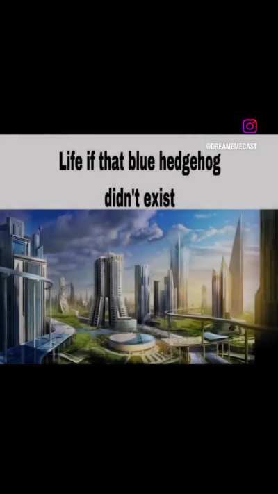 I hate those hedgehogs